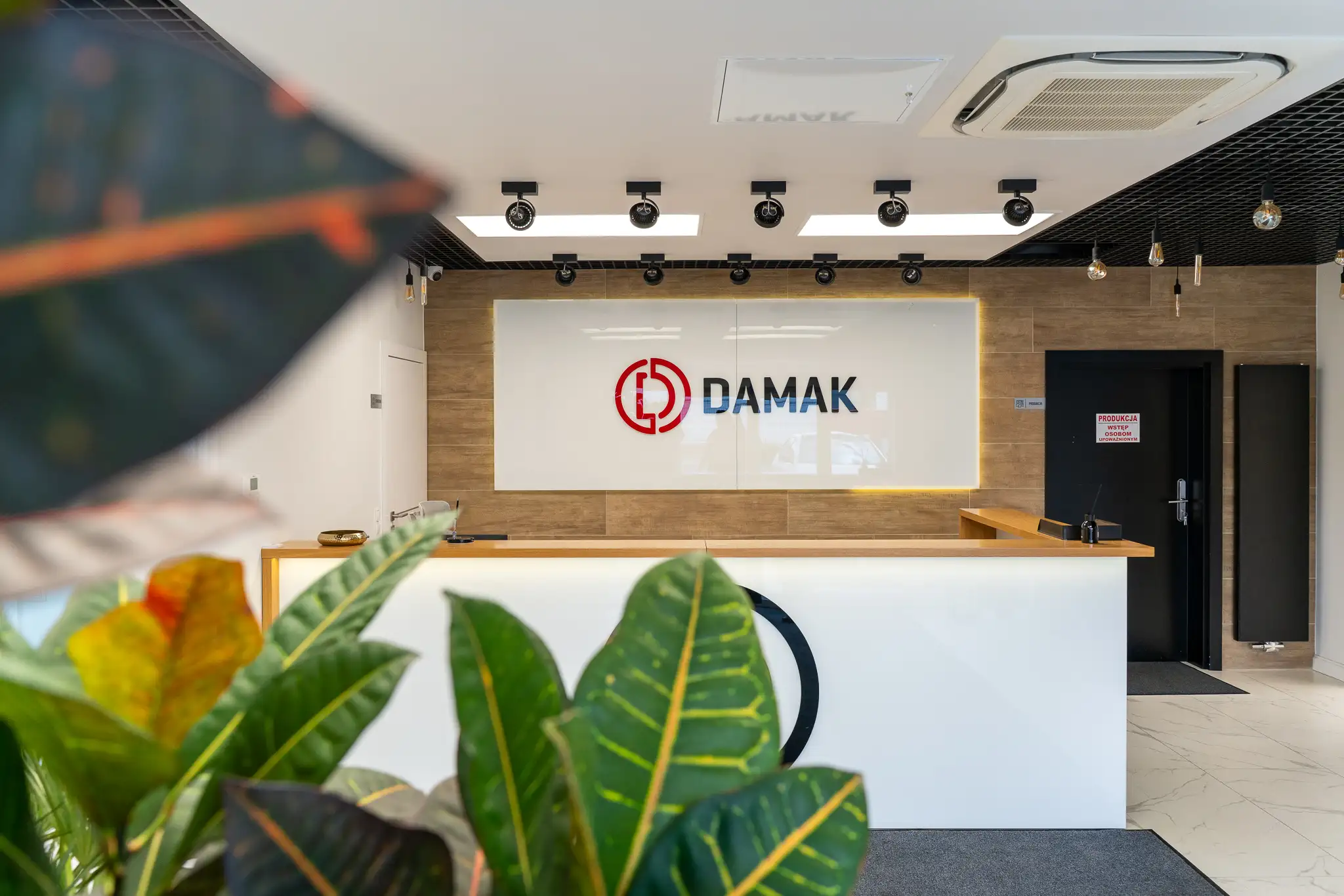Europe's Halal Food Market Is Booming — and DAMAK Is at the Forefront